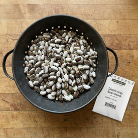 Dapple Grey, Bean Seeds